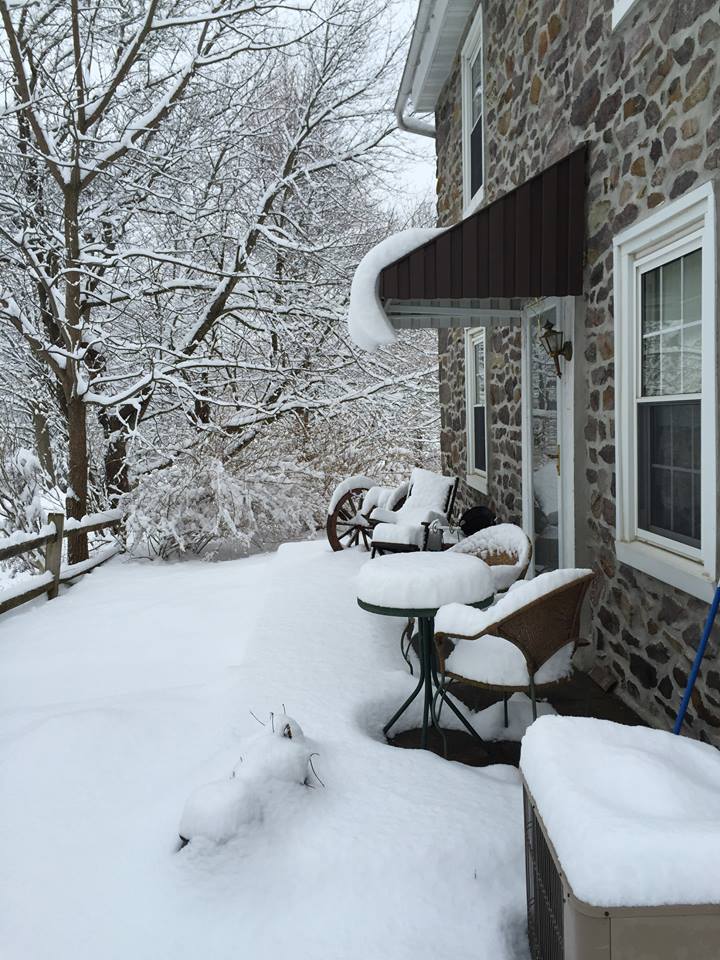 snow chez reinbold 2015.jpg